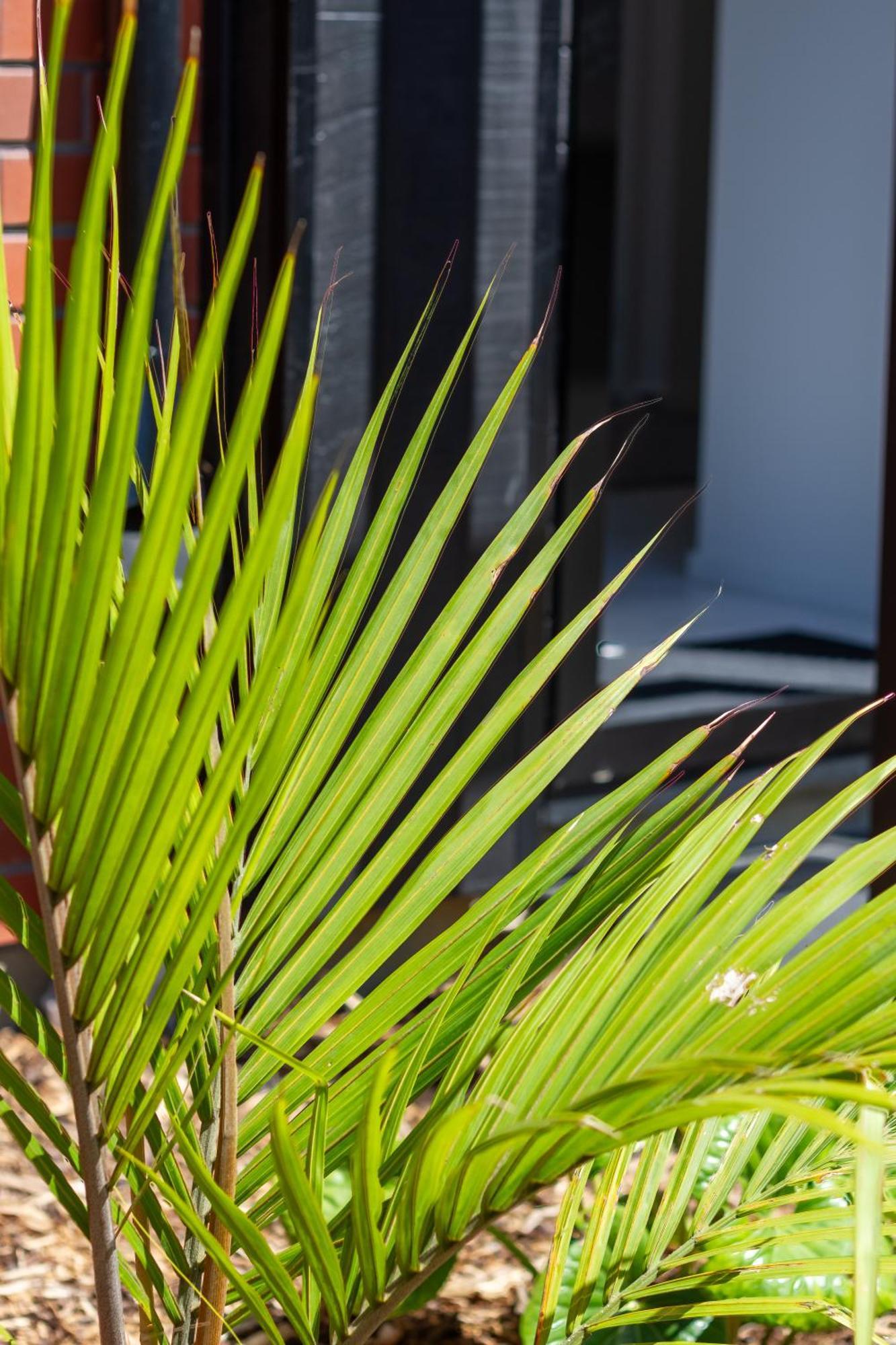 Chic 2-Bed Gem: Trust Arena Proximity - West Akl Apartment Auckland Ngoại thất bức ảnh